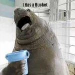 Avatar for BlueBucket